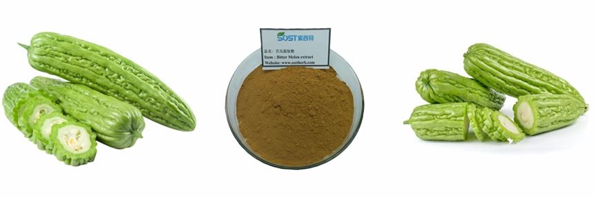 Momordica Charantia Extract