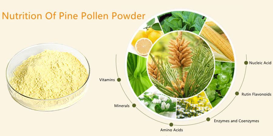 Nutrition Of Pine Pollen Powder