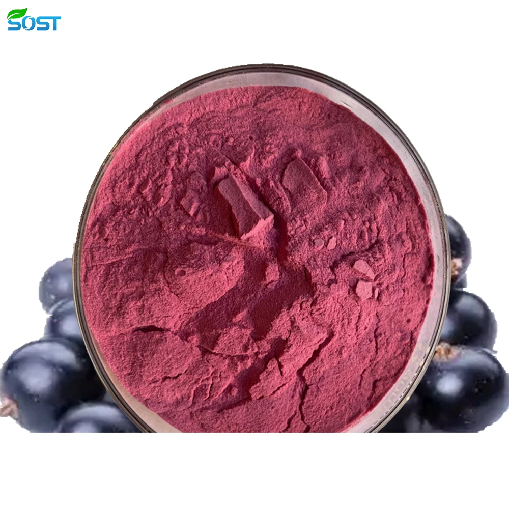 Acai powder2