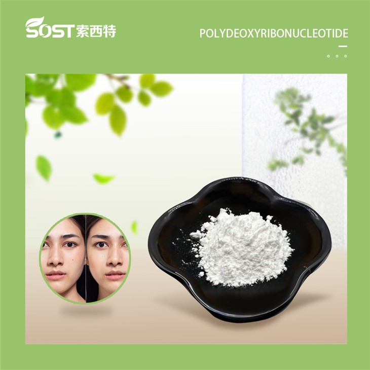 Polydeoxyribonucleotide