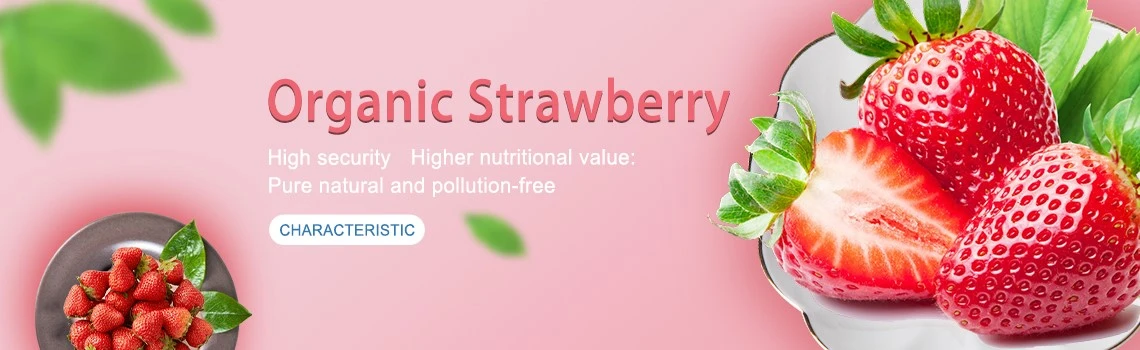 5Organic Strawberry Powder 5Organic Strawberry Powder