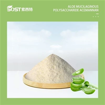 Extracte d'Aloe Vera Polisacàrid d'Aloe 20%-98%